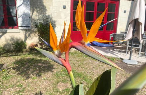 Logis huit clos calme et romantique proche Saumur - Photo 7