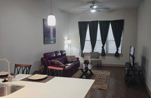 Midtown Downtown Breeze 7 miles from Rodeo - Foto 8