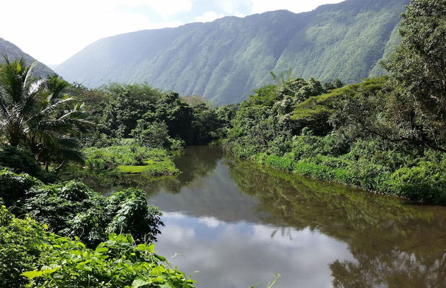 Hamakua Pukana La Hale 3 Bedroom Home by RedAwning - Foto 34