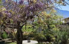 The Heritage Home - Foto 6