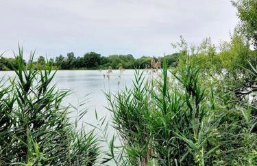 zentrale Ferienwohnung - direkt am See und in Schlossnähe - Photo 8
