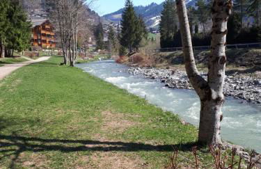 Studio belle vue sur les montagnes - Foto 9