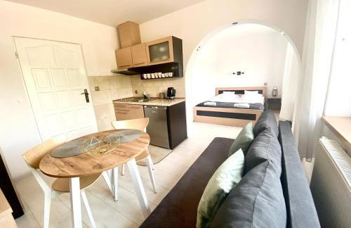 SKALNY apartamenty, pokoje - Foto 17