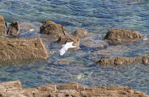 Villa Prat Bras - Appartements - Foto 38