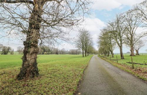 Courtyard View - Photo 38