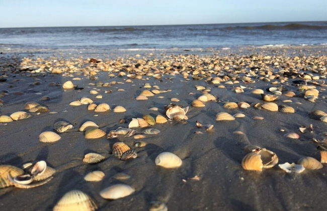 Deichwiege Modern Retreat - Foto 22