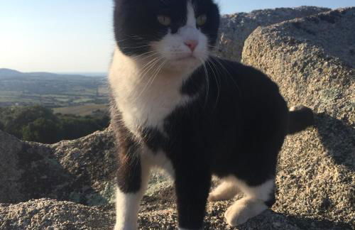 Stazzu Giasti Agriturismo - Photo 20