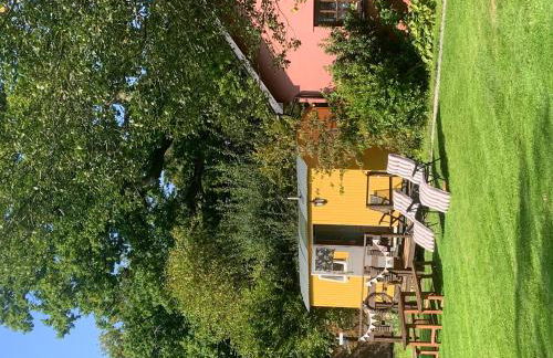 The Hideaway at Duffryn Mawr Self Catering Cottages - Photo 5