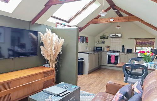 Cosy barn on rural smallholding with alpacas, goats & pigs - Foto 28