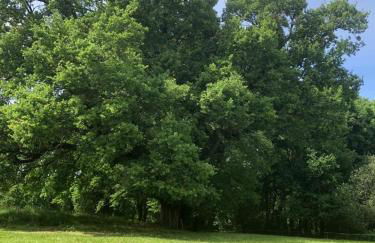 Maison confort à la campagne - Foto 19