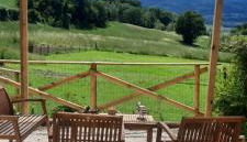 Agriturismo Il Truffarello TODI - Foto 5