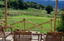 Agriturismo Il Truffarello TODI - Photo 5