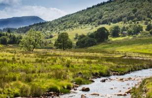 Wunder Lodge - Snowdonia Log Cabin - Foto 7