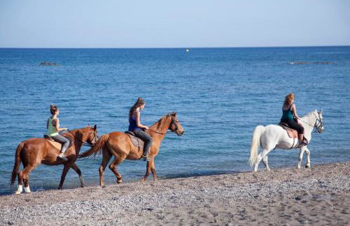 Traditional Loft Casa Di Vini - Photo 36