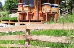 Appartamento LA REGINA un dolce rifugio tra api e natura - Photo 8