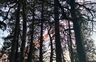 North Lodge Kilmun - Foto 76