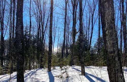 Woodland Wonderland - Foto 52