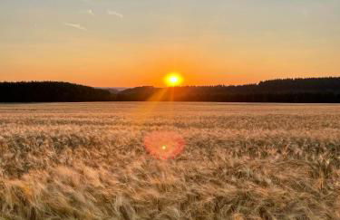 Chalet im Grünen - Foto 17