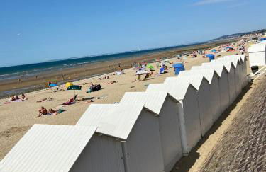 GÎTE DE LA MUSARDE - Photo 22