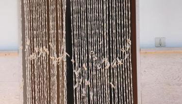 Villa Pineta - Foto 4