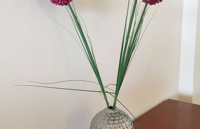 Apartamento Rosendo - Photo 14