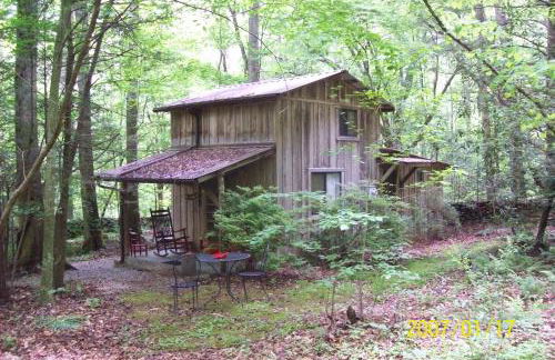 Garden of Eden Cabins - Photo 12