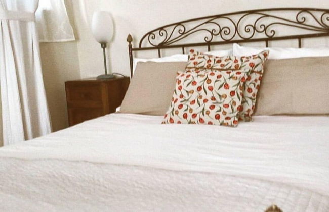 Fonte Pecciano 1856 - Photo 10