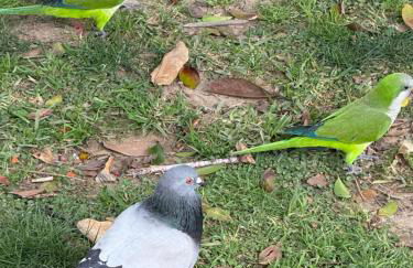 Playa Dona Sofia Bella - Photo 33