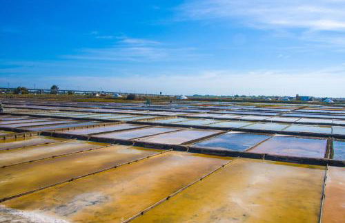 Solar Alegria - Foto 39