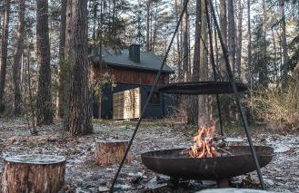 Konwaliowe Zacisze - chillout w leśnej aurze - Foto 10