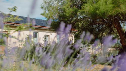 FEWO KOI mit Teichblick - Foto 5, Garden, Garden view