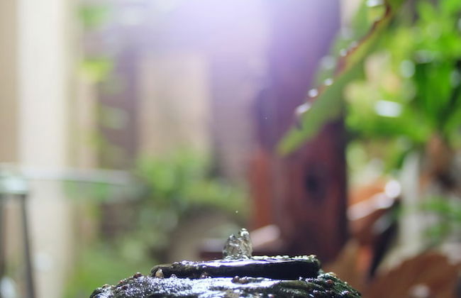 The Luxury Residence - Foto 65