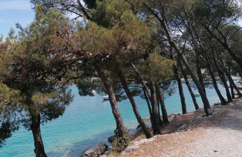 Villa NOVAMARIN - heated pool, sauna, garden - Foto 30