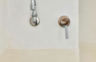 Archipelagotinos - Foto 26