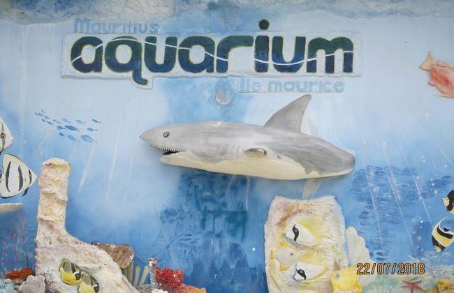 Jolie Villa Santa - Foto 23