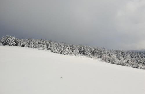 Przystanek Letnisko - Foto 33