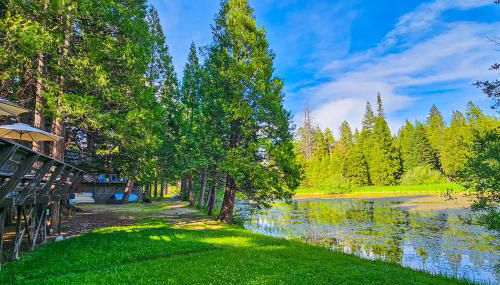 Water's Edge Retreat - Foto 5