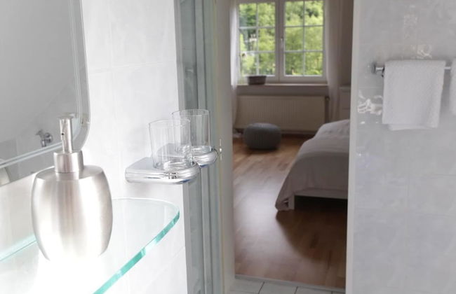 Bos en Kasteel - Foto 9