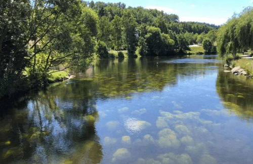 Ferienhaus Walter im Waldferiendorf - Foto 25
