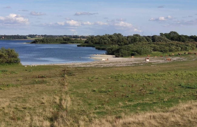 8 Person Holiday Home in Store Fuglede - Foto 26