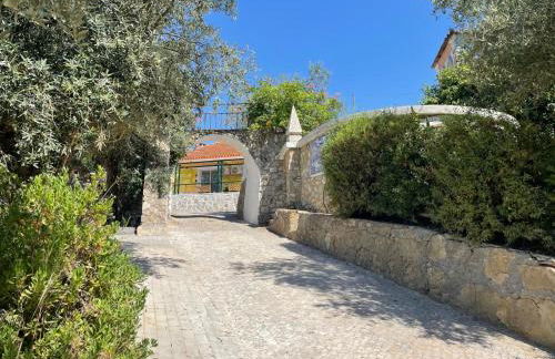 Quinta dos Canais - Photo 59