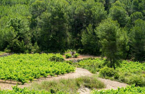 Masia Pou de la Vinya - Foto 76