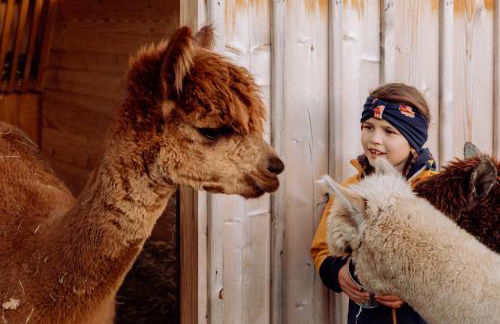 Ferienhof Petermühle Urlaub mit Alpakas - Foto 49
