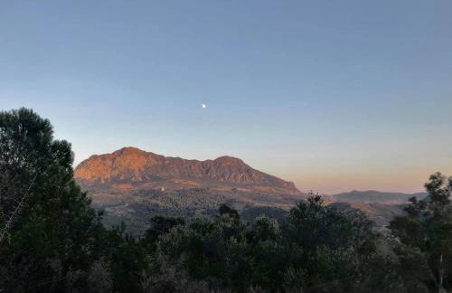 Casa Rural las Tres Rosas - Foto 42