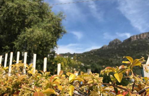 Appartamenti Le Mimose - Foto 26