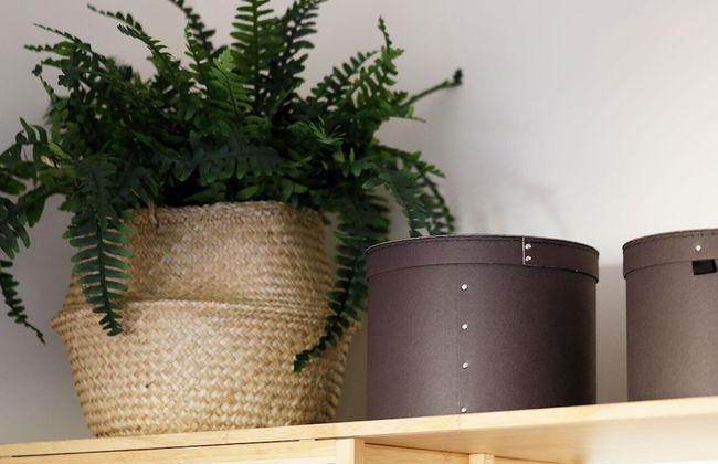 Chase Apartments Boutiquehotel Style I - Photo 41