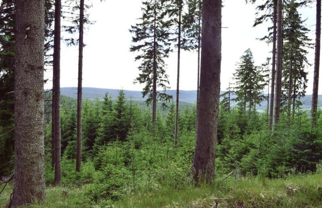 Holiday Home With Private Terrace in Gehren - Foto 30