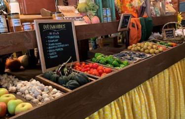 Luxury Farm Stay-Bonds Corner Bungalow-Wolf Pine Hollow - Foto 59