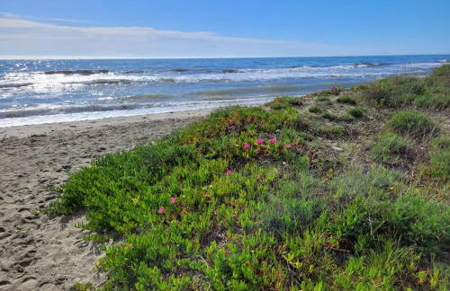 Mini villa au bord de la mer, proche Moriani (Corse) - Foto 15