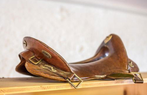 Nengshof Ferienhäuser Sonnenblume und Heublume - Foto 29